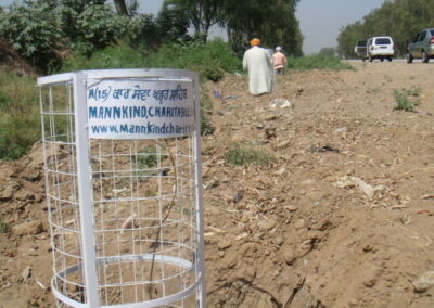 Amritsar Tree Planting