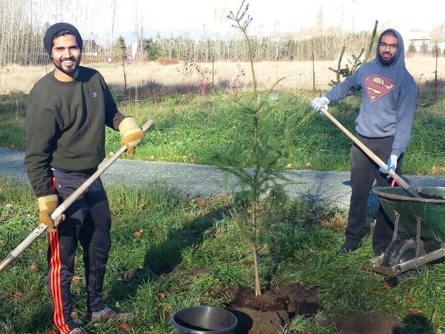 Old Yale Park Tree Planting