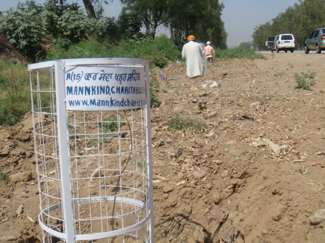 Amritsar Tree Planting